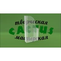 Кишеня для поліграфії Єврофлаєр