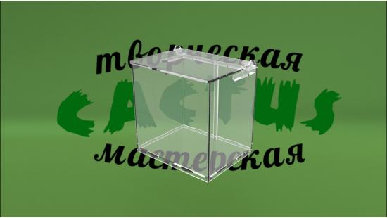 Бокс для снеков