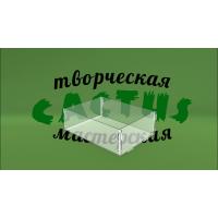 Коробка пластиковая