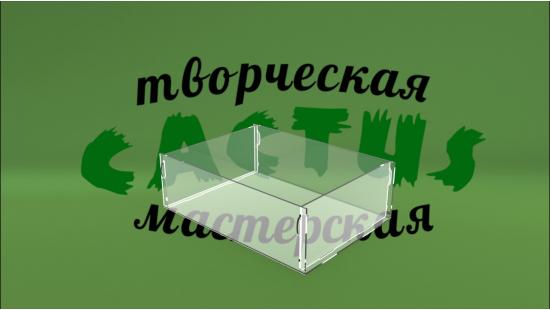 Коробка пластиковая